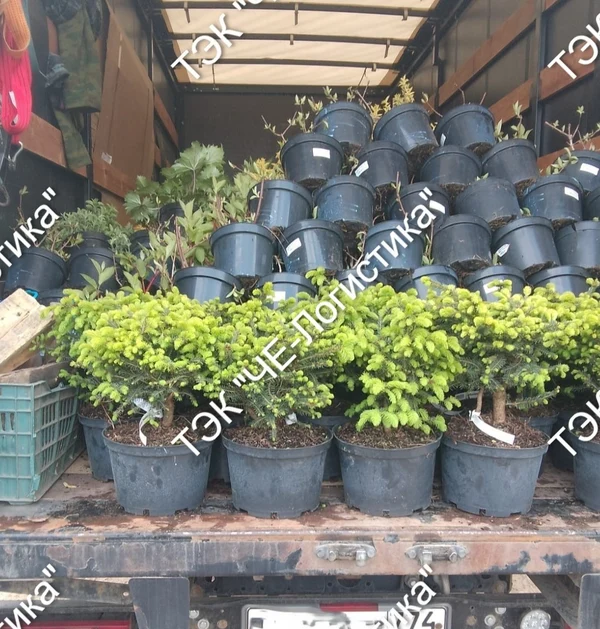 Грузоперевозки по России