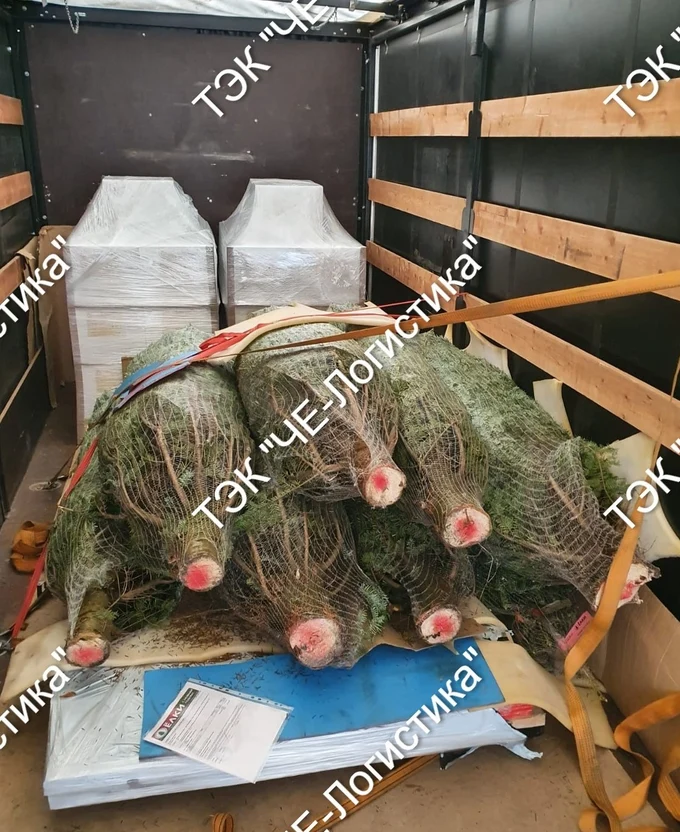 Доставка сборных грузов