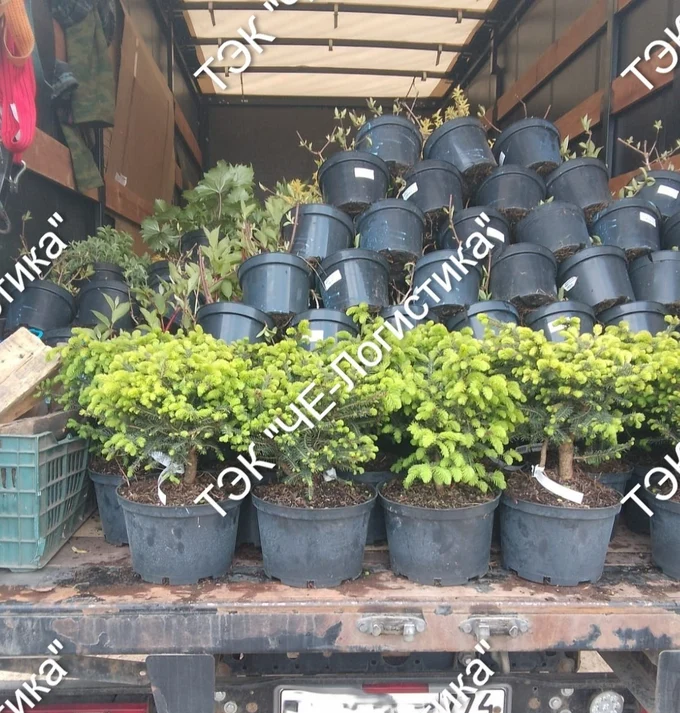 Грузоперевозки по России